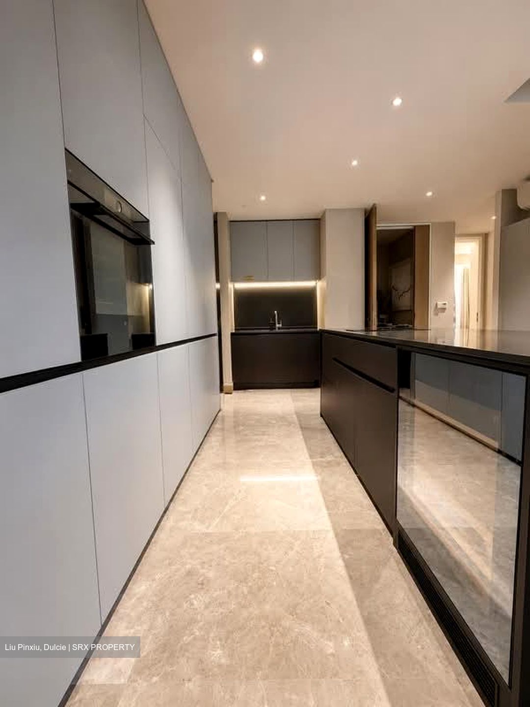 Amber Park (D15), Condominium #579550641